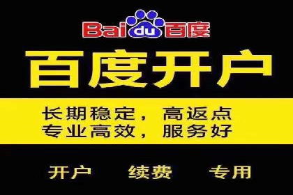 某公司SEM运营全流程解析及效果展示